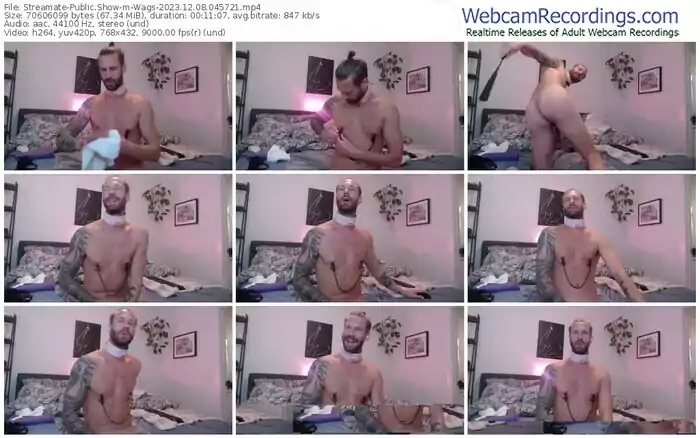 2023/12/08/streamate-wags-04-57-21