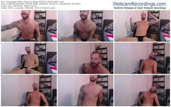 2023/12/09/streamate-wags-01-38-07