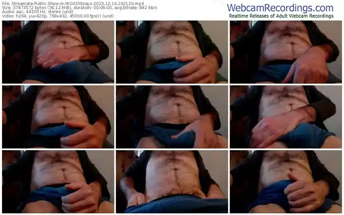 2023/12/16/streamate-woodiesays-16-21-20