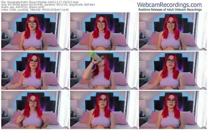 2023/12/17/streamate-rousex-15-22-13