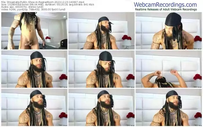 2023/12/23/streamate-ragnarbjorn-14-06-07