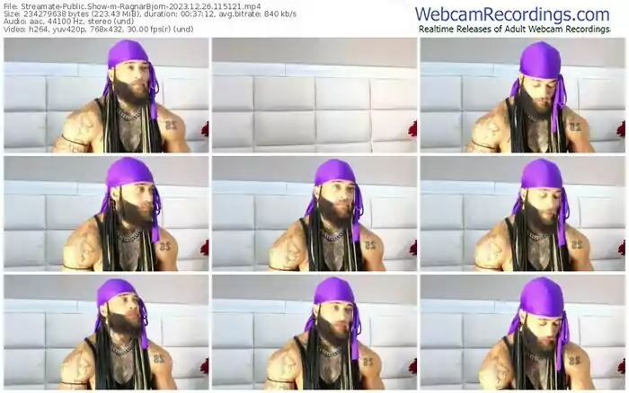 2023/12/26/streamate-ragnarbjorn-11-51-21