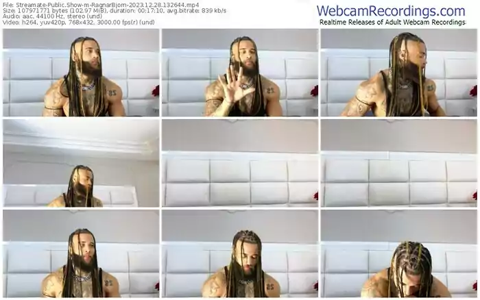 2023/12/28/streamate-ragnarbjorn-13-26-44