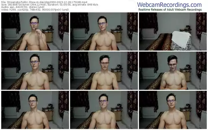 2023/12/28/streamate-davidgg2000-17-50-48