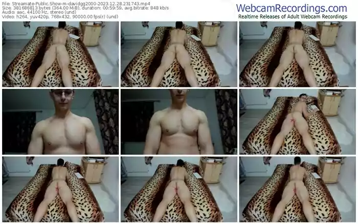 2023/12/28/streamate-davidgg2000-23-17-43