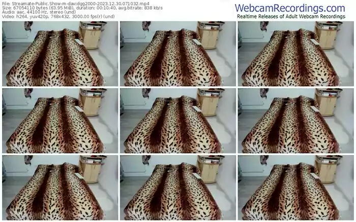 2023/12/30/streamate-davidgg2000-07-10-32