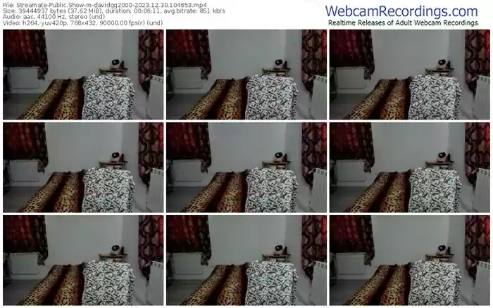 2023/12/30/streamate-davidgg2000-10-46-53