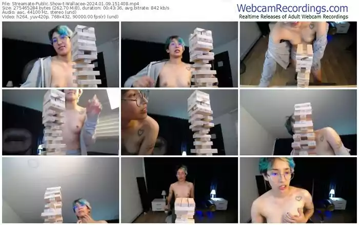 2024/01/09/streamate-wallacee-15-14-08