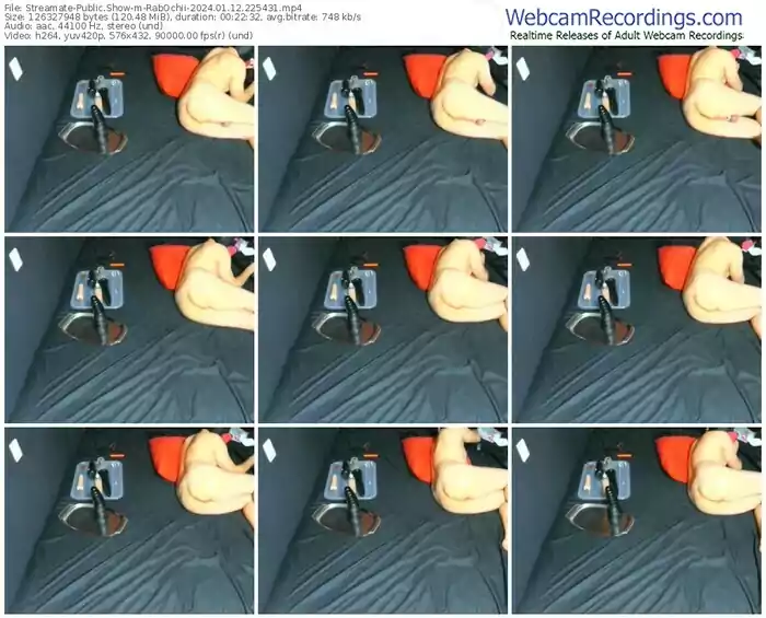2024/01/12/streamate-rabochii-22-54-31