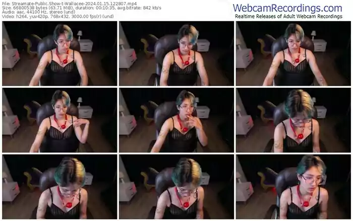 2024/01/15/streamate-wallacee-12-28-07