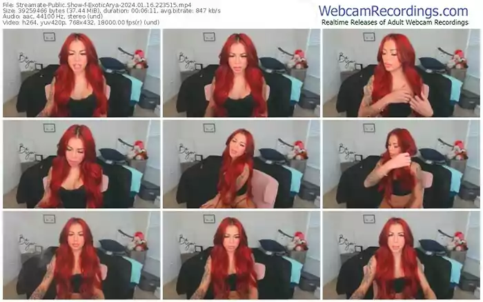 2024/01/16/streamate-exoticarya-22-35-15