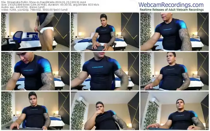 2024/01/23/streamate-davidwade-13-01-31