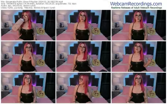 2024/01/26/streamate-rousex-08-22-39