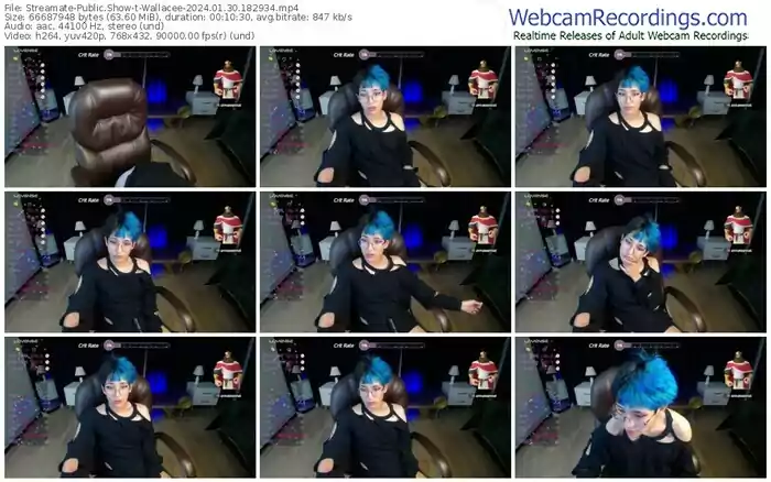 2024/01/30/streamate-wallacee-18-29-34