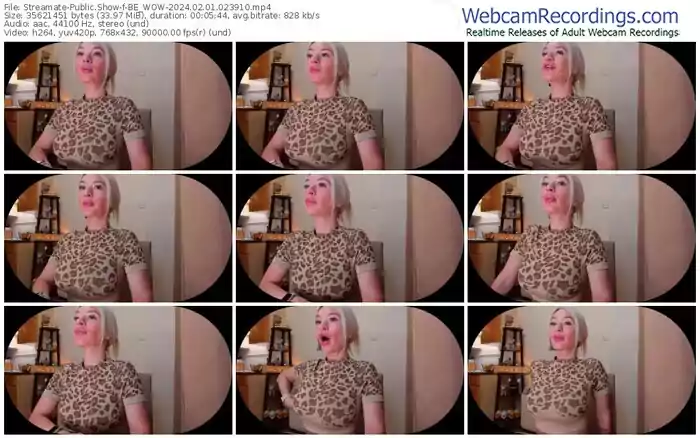 2024/02/01/streamate-be_wow-02-39-10