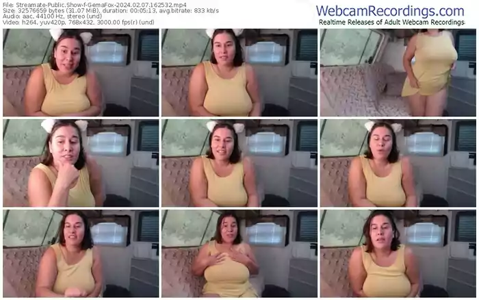 2024/02/07/streamate-gemafox-16-25-32