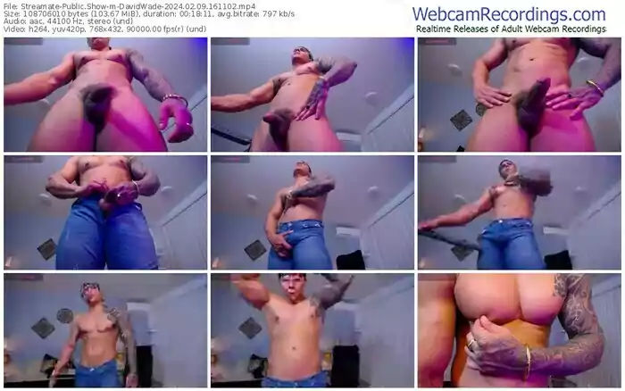 2024/02/09/streamate-davidwade-16-11-02