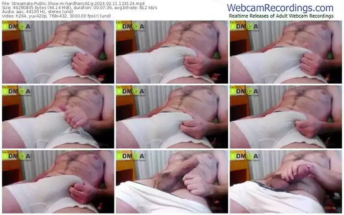 2024/02/11/streamate-hardhairyb1g-12-31-24