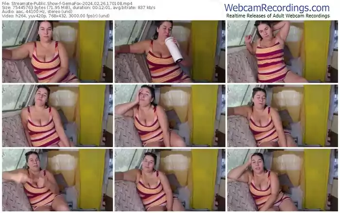 2024/02/26/streamate-gemafox-17-01-08