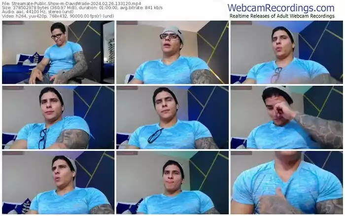 2024/02/26/streamate-davidwade-13-31-20