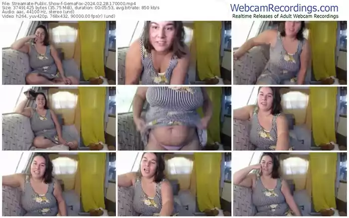 2024/02/28/streamate-gemafox-17-00-00