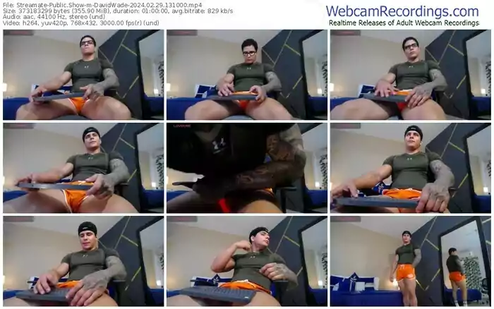 2024/02/29/streamate-davidwade-13-10-00
