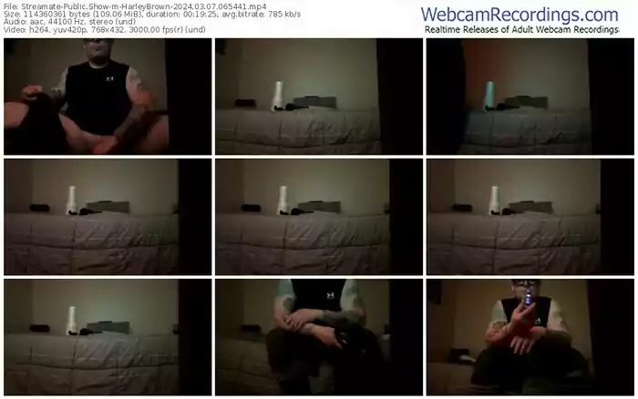 2024/03/07/streamate-harleybrown-06-54-41