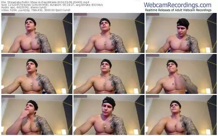 2024/03/08/streamate-davidwade-20-44-31