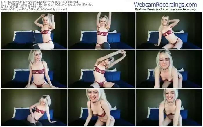 2024/03/11/streamate-allyelliot-16-13-38