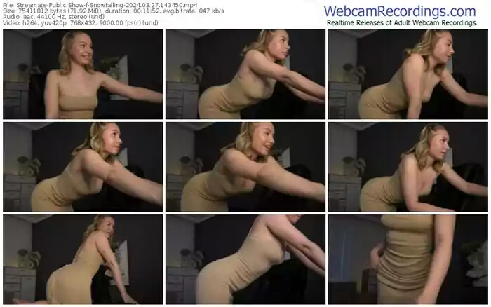 2024/03/27/streamate-snowfalling-14-34-50