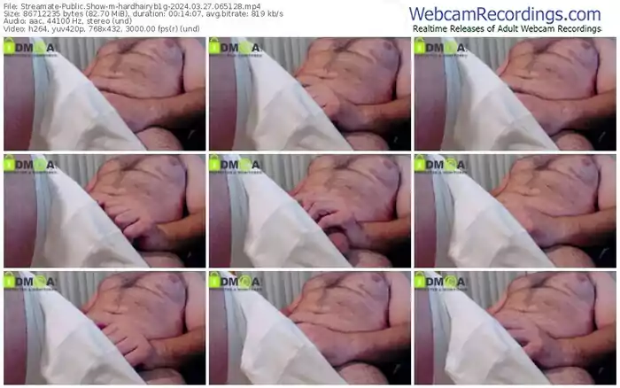 2024/03/27/streamate-hardhairyb1g-06-51-28