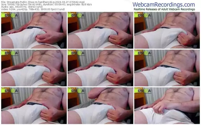 2024/03/27/streamate-hardhairyb1g-07-06-42