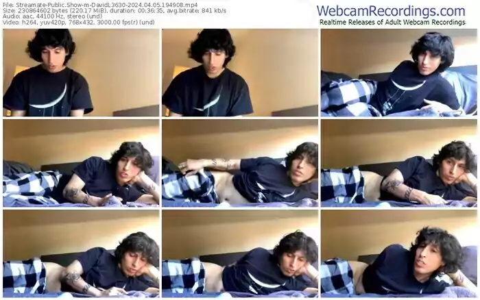 2024/04/05/streamate-davidl3630-19-49-08