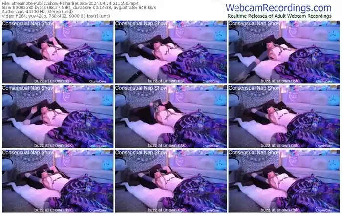 2024/04/14/streamate-charliecake-21-15-50