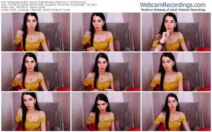 2024/04/17/streamate-sofiiadream-22-34-56