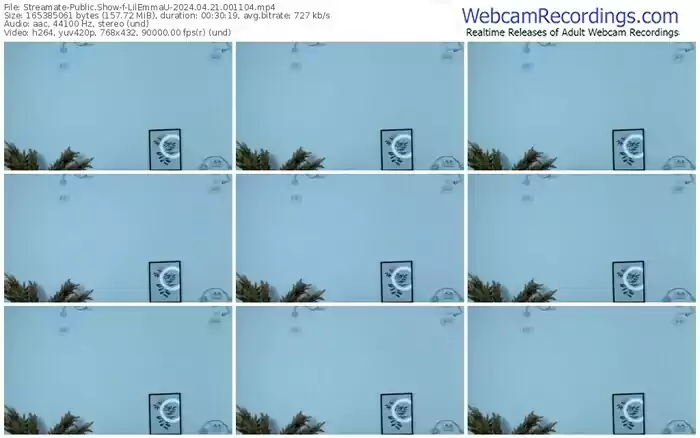 2024/04/21/streamate-lilemmau-00-11-04