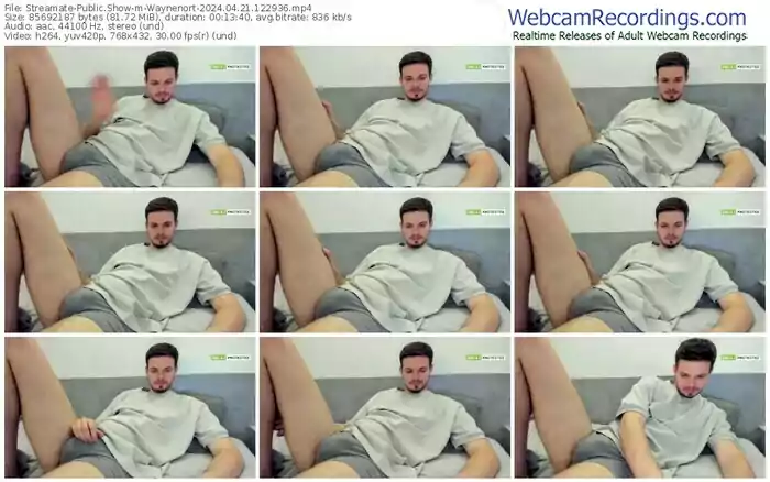 2024/04/21/streamate-waynenort-12-29-36