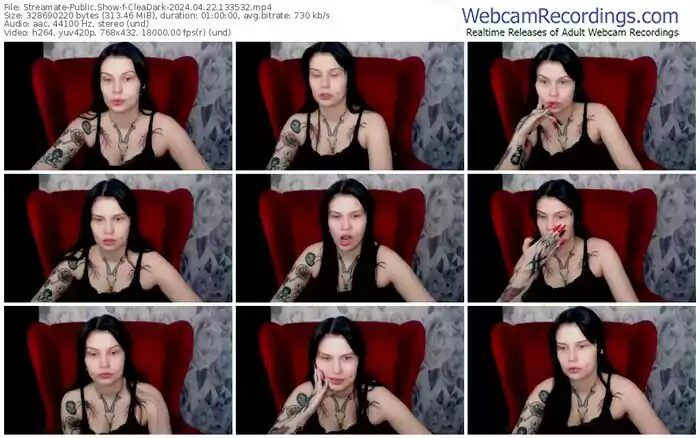 2024/04/22/streamate-cleadark-13-35-32