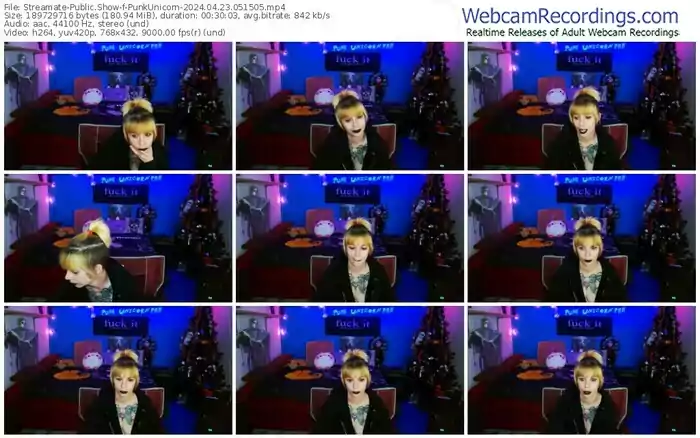 2024/04/23/streamate-punkunicorn-05-15-05