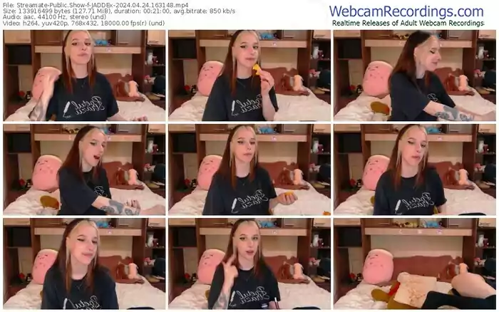 2024/04/24/streamate-jaddex-16-31-48