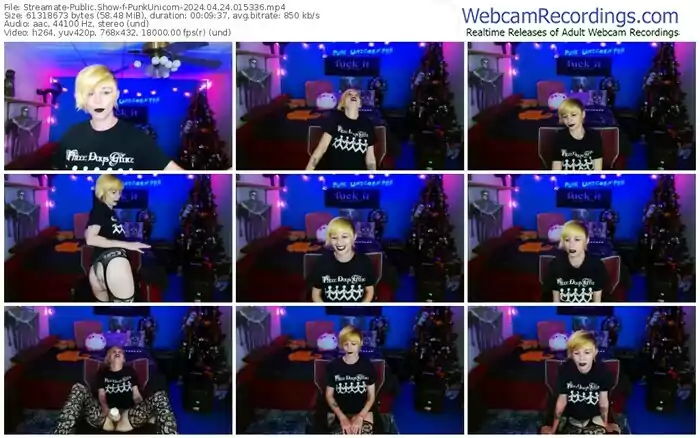 2024/04/24/streamate-punkunicorn-01-53-36