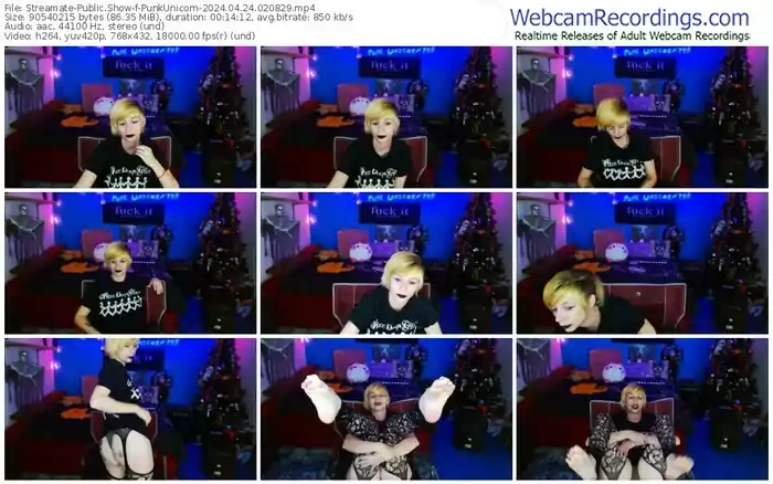 2024/04/24/streamate-punkunicorn-02-08-29
