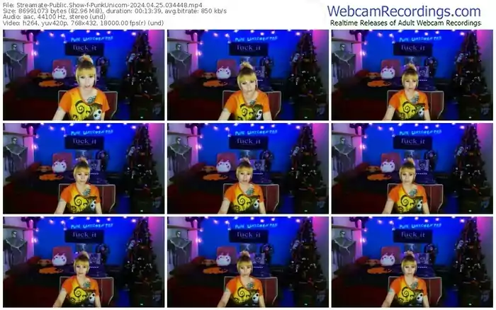 2024/04/25/streamate-punkunicorn-03-44-48