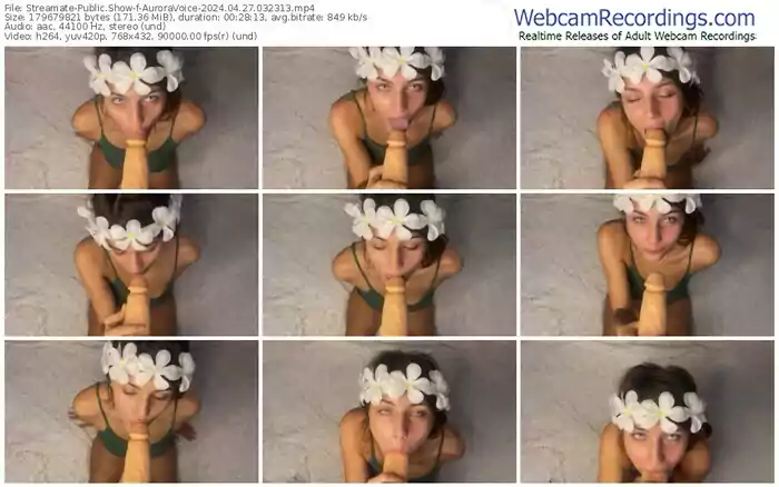 2024/04/27/streamate-auroravoice-03-23-13