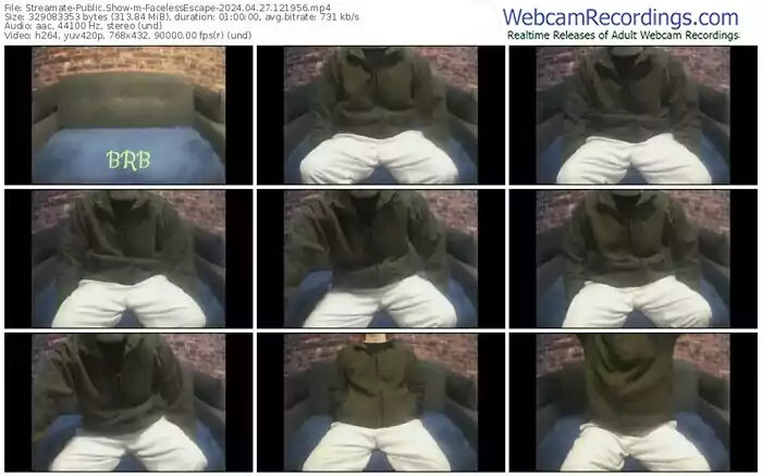 2024/04/27/streamate-facelessescape-12-19-56