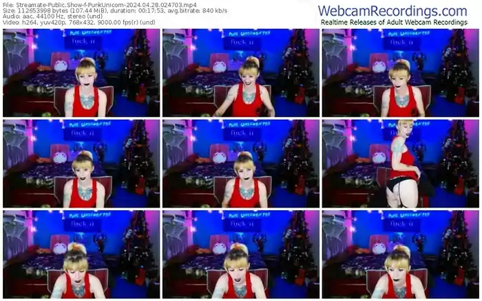 2024/04/28/streamate-punkunicorn-02-47-03