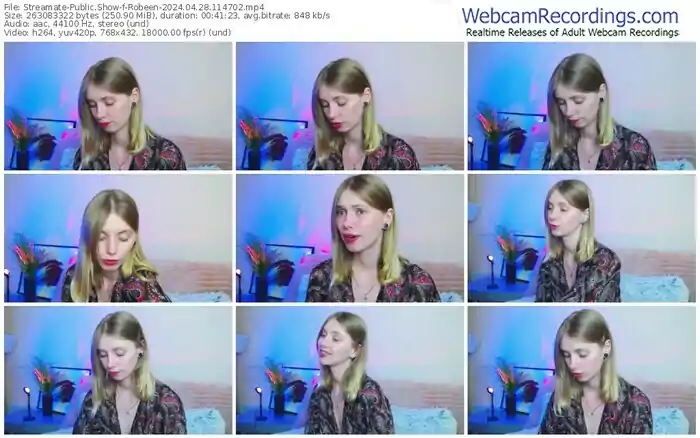 2024/04/28/streamate-robeen-11-47-02