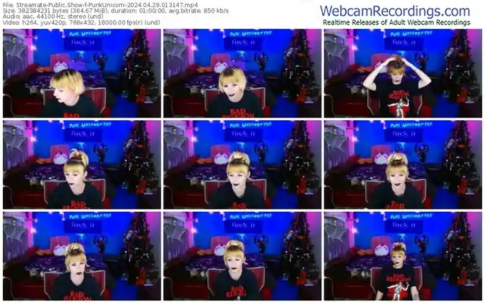 2024/04/29/streamate-punkunicorn-01-31-47