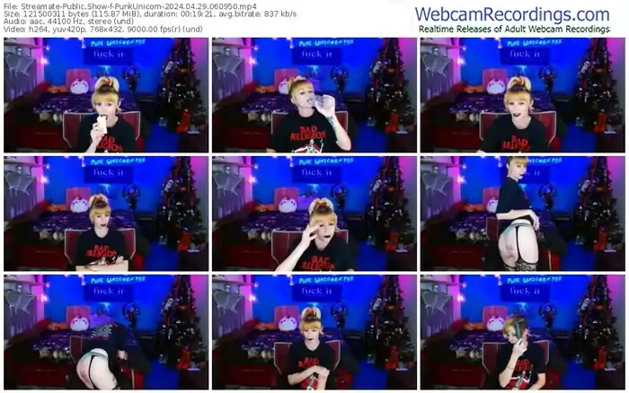 2024/04/29/streamate-punkunicorn-06-09-50