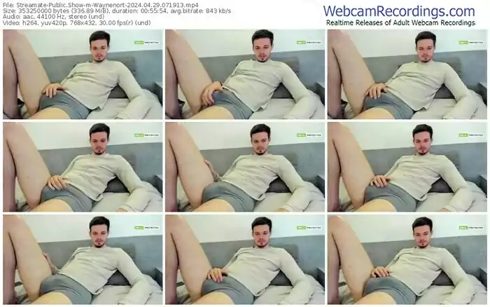 2024/04/29/streamate-waynenort-07-19-13